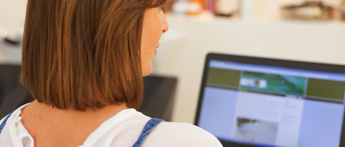Corona-Krise: Webinar von Handwerk International BW Frau von hinten vor Computerbildschirm.