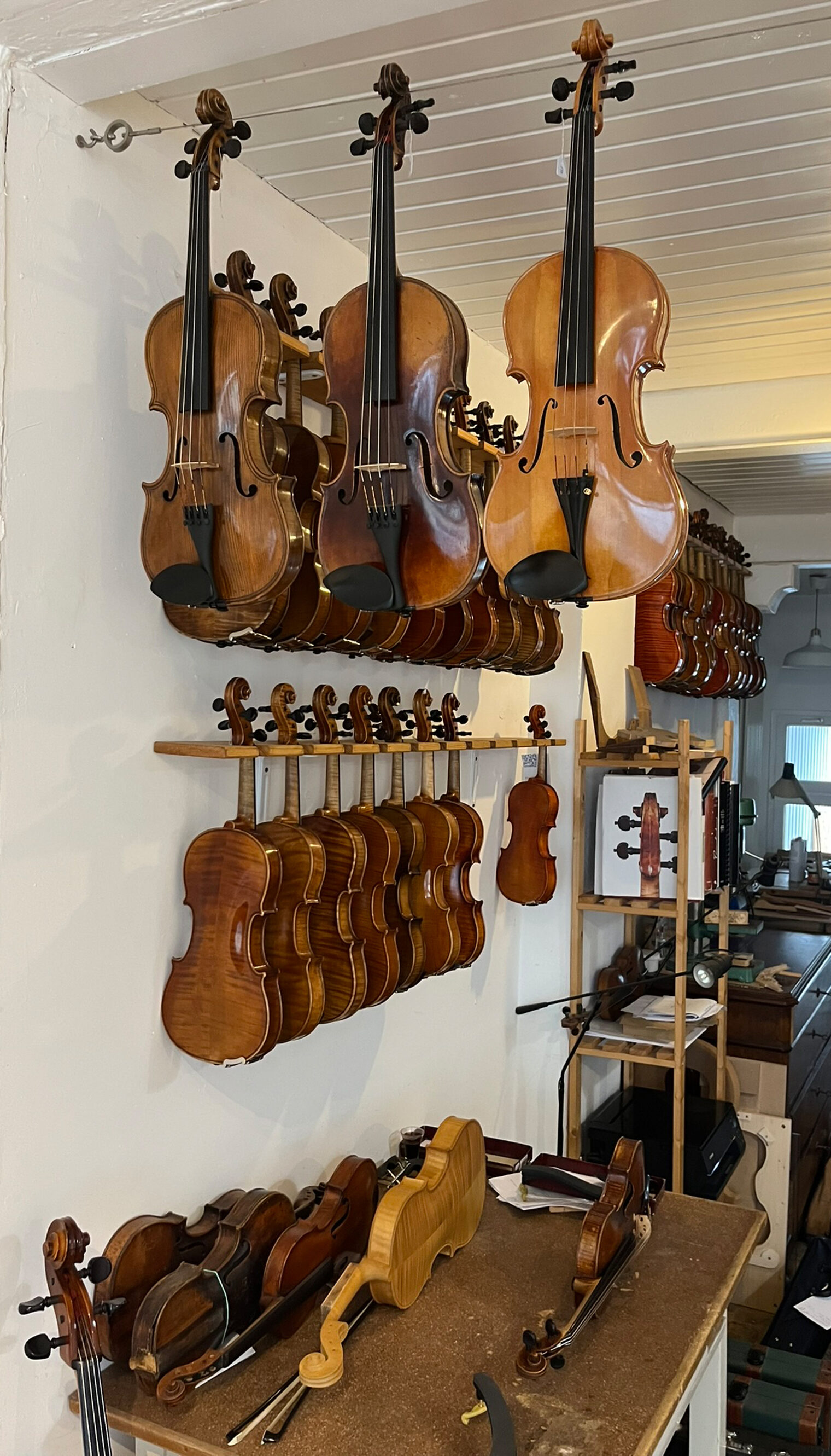 Aneinander gereihte Geigen, Bratschen und Celli in Ruth Pabels Werkstatt in der Konstanzer Niederburg.