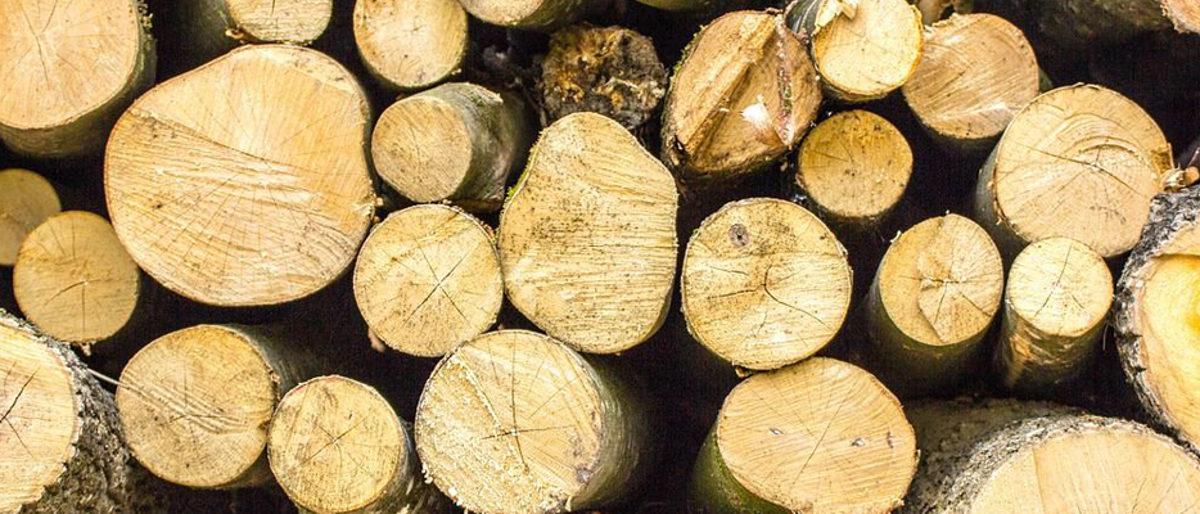 holz_pixabay