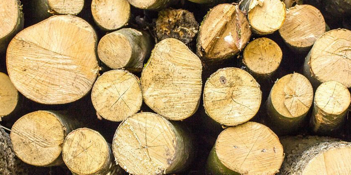holz_pixabay