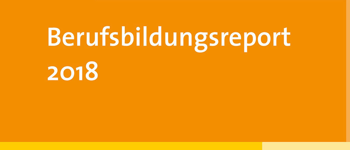 Berufsbildungsreport Berufsbildungsreport