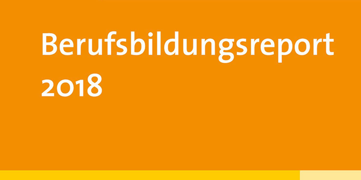 Berufsbildungsreport Berufsbildungsreport