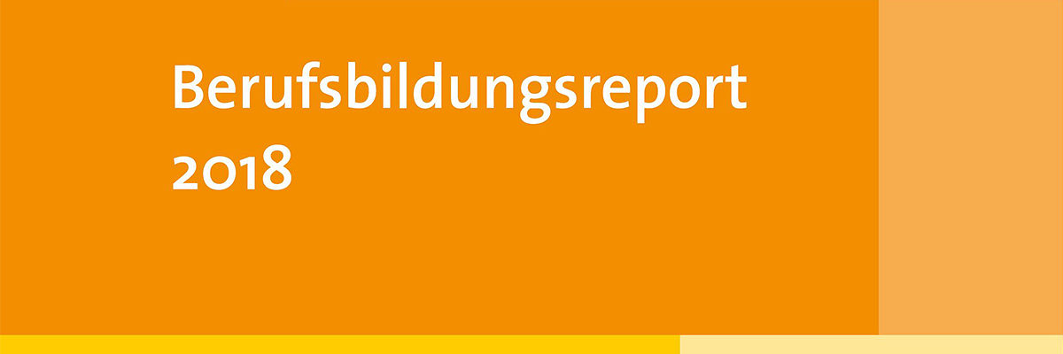 Berufsbildungsreport Berufsbildungsreport