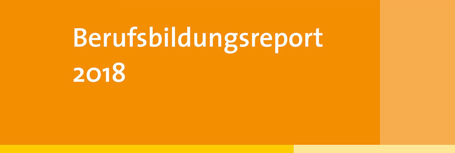 Berufsbildungsreport Berufsbildungsreport